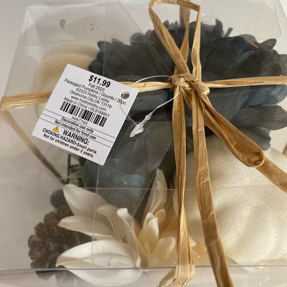 Thanksgiving 20 Piece Pumpkins & Gourds Blue/Cream Mix - Picture 5 of 5